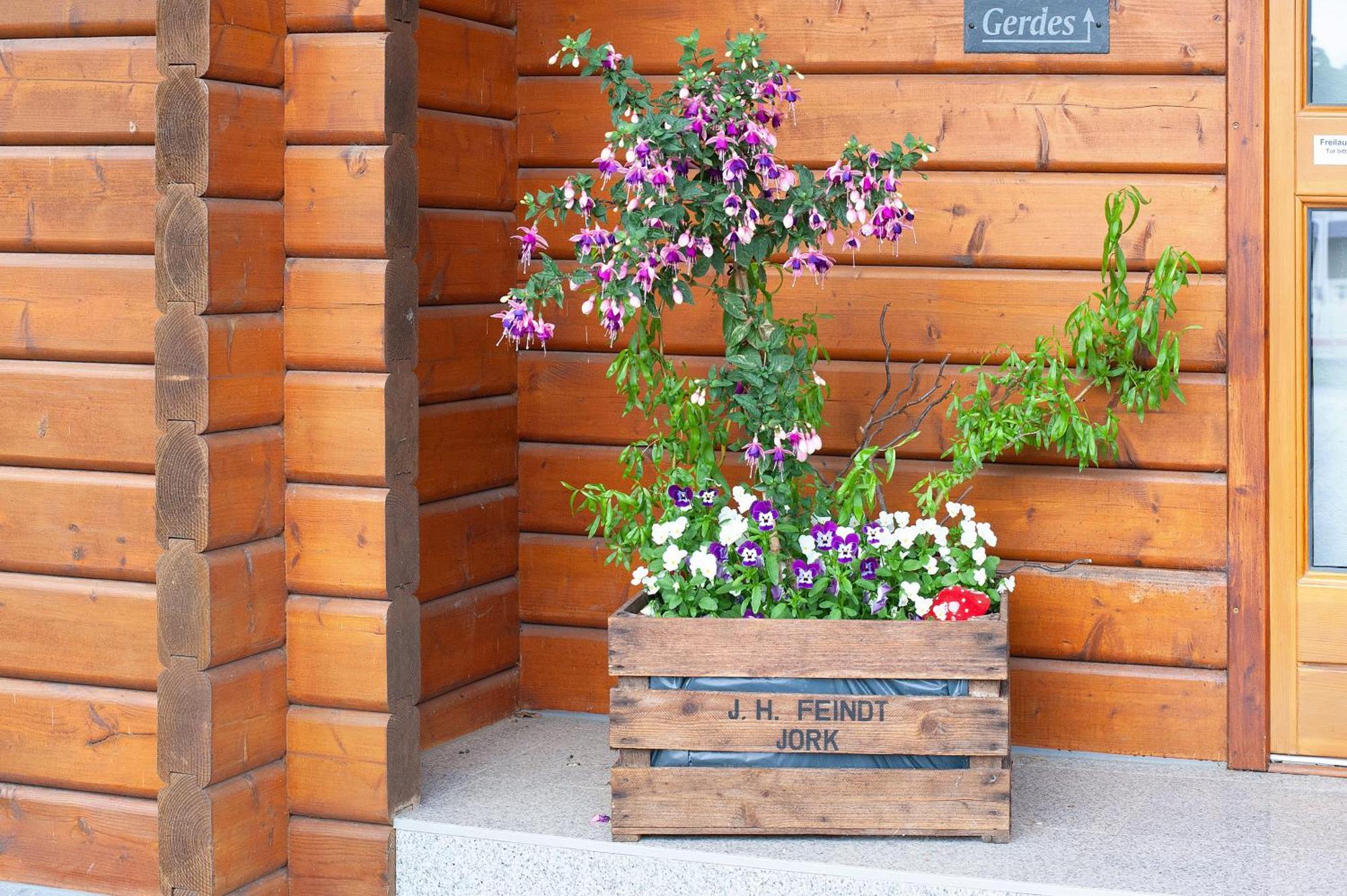 Entenhaus Hilgendorf Luaran gambar